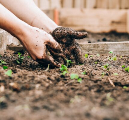 Jardinage au naturel