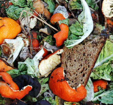 FAQ Collecte des déchets alimentaires