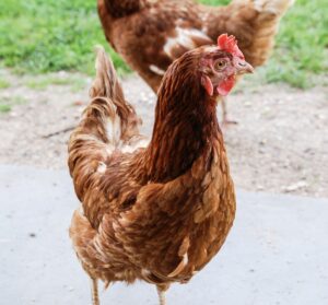 Participer au projet 