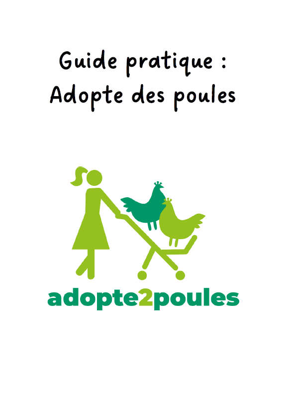 Guide pratique adopte des poules