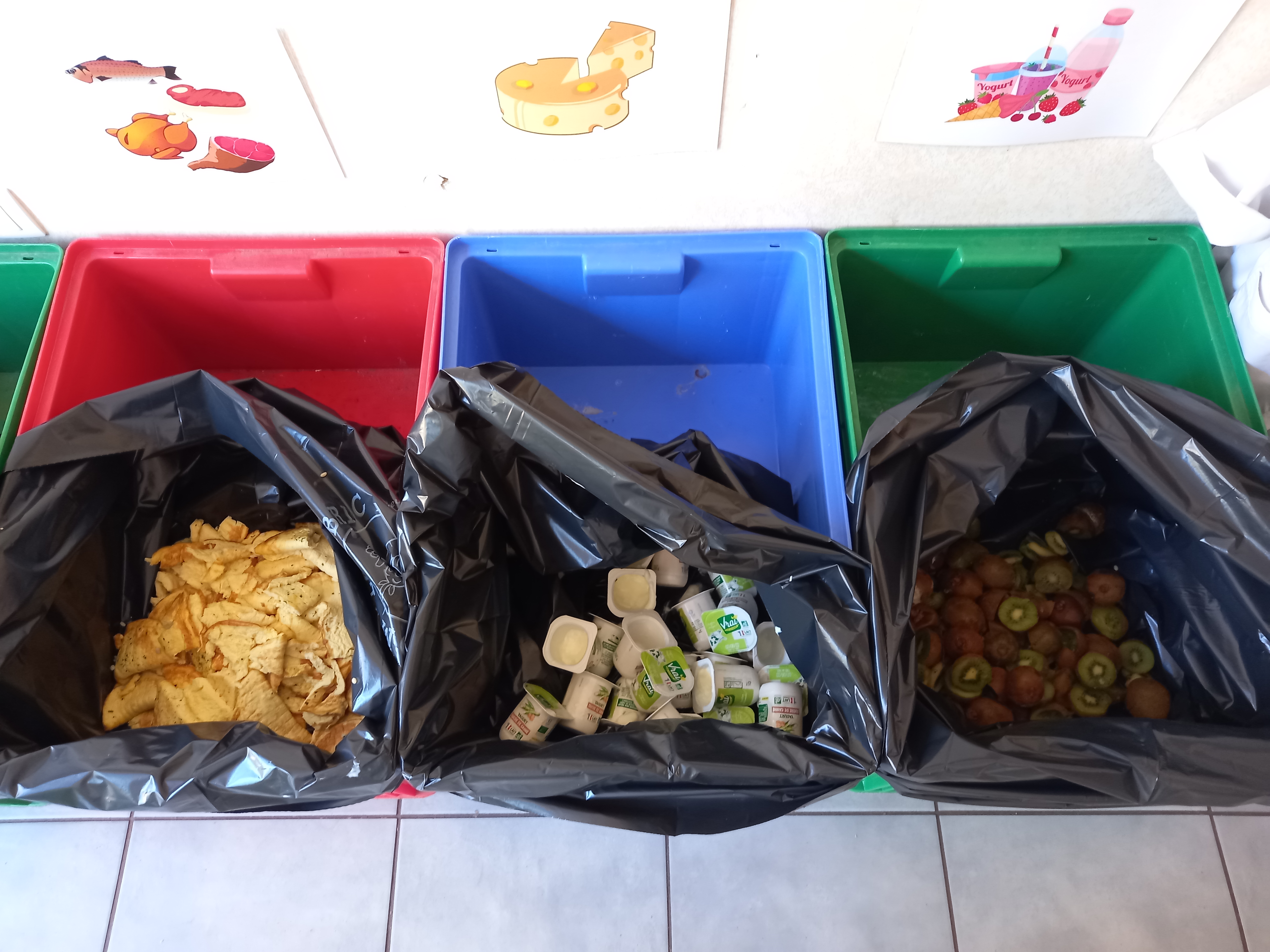 La gaspillage alimentaire catégorisé