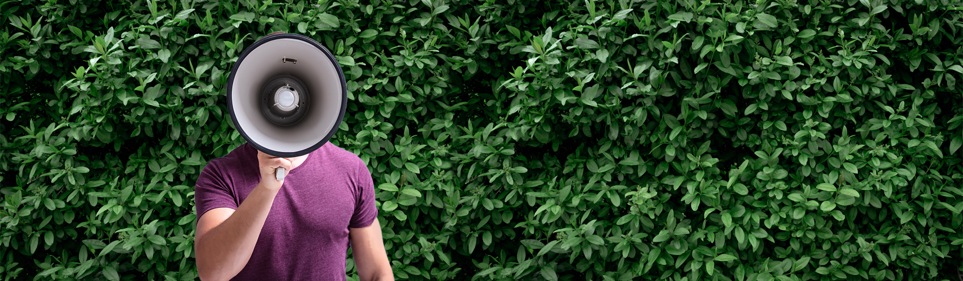 Déchets verts : fin de la trêve hivernale