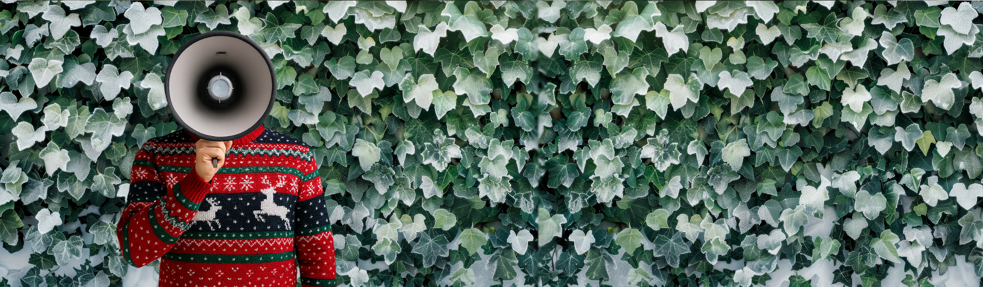 Déchets verts : pause hivernale de la collecte