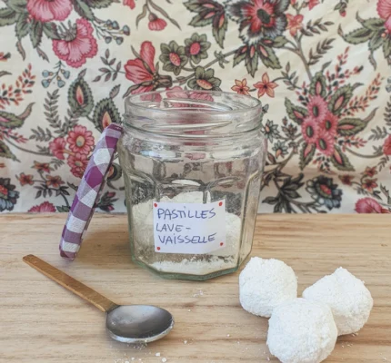 Pastilles lave-vaisselle