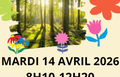 Nettoyons les bois !