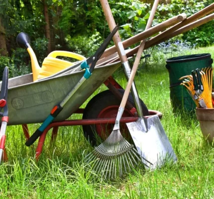 Les articles de bricolage et de jardin